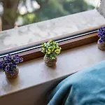 Apartament Luxury 2 Bedroom With Sea View Warna